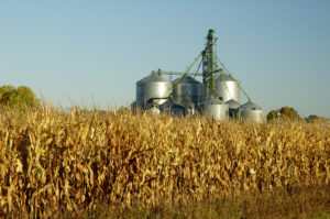 Grain Storage Repair