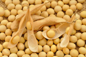 grain tariff soybeans